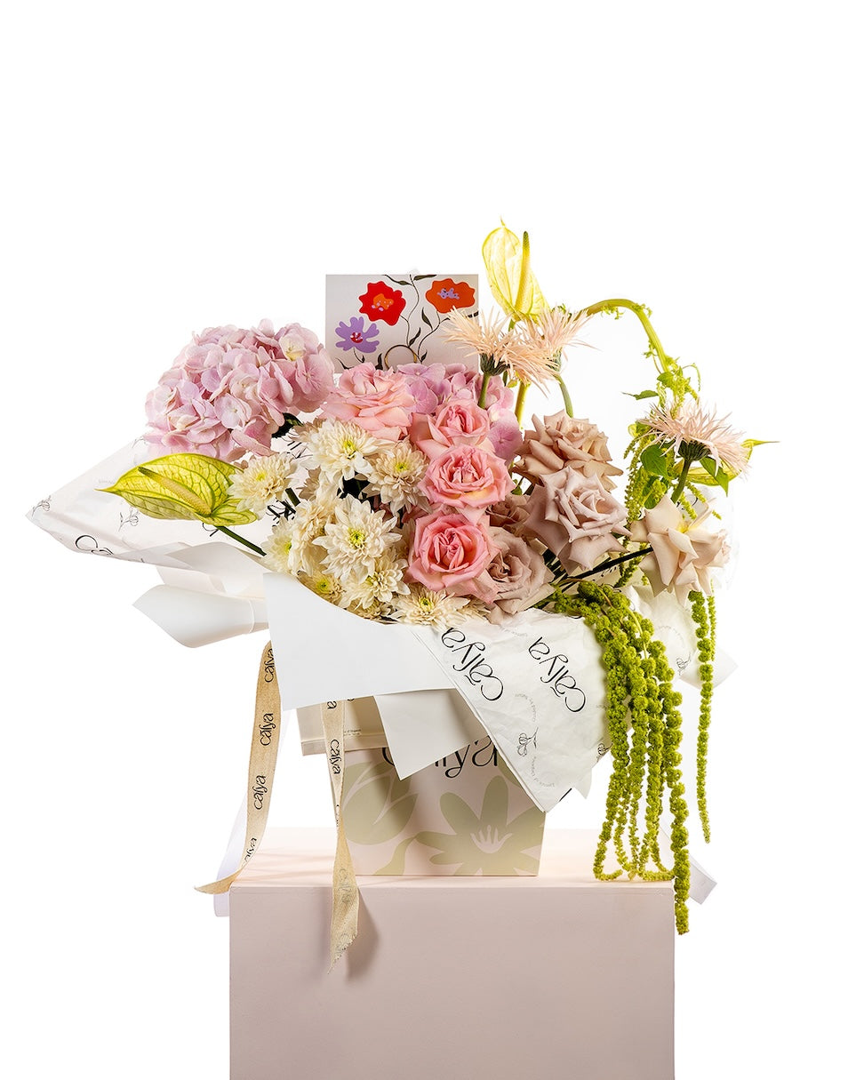 Ballet Blooms | باليه بلومز