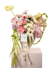 Ballet Blooms | باليه بلومز